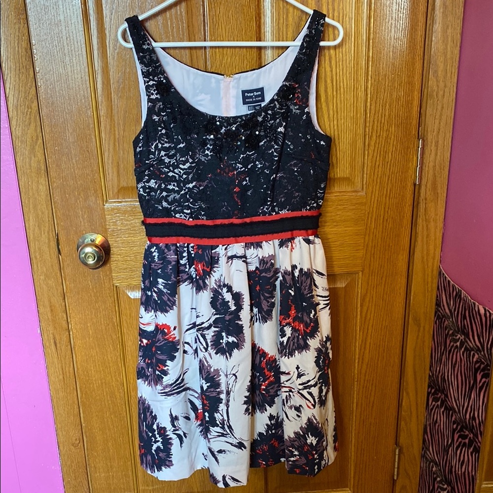 Peter Som Made in Kind Anthropologie Black Lace Dress with Red and White Details